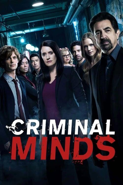 Criminal Minds (2005-2017)