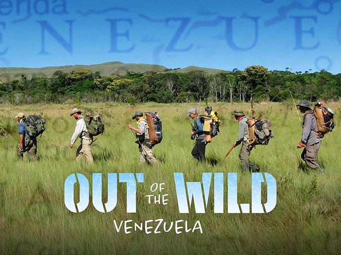 Out of the Wild Venezuela