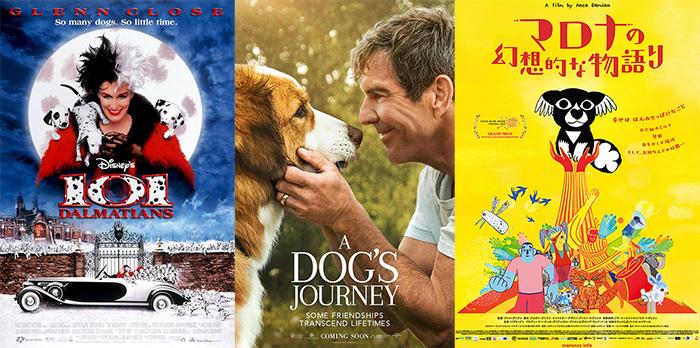 Best Dog Movies For Kids