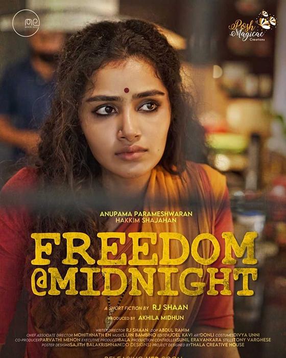 Freedom At Midnight (2018)