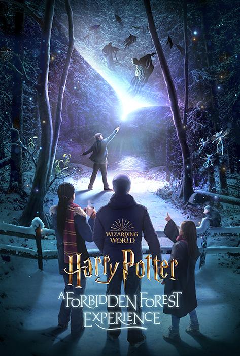 Harry Potter and the School of Wizards The Forbidden Forest