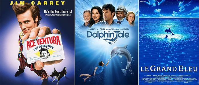 Movies About Dolphins