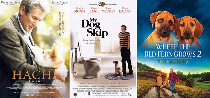 Sad Movies About Dogs