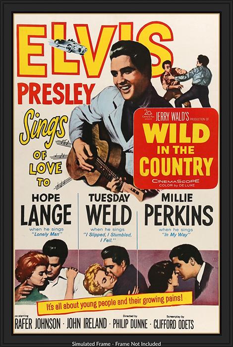 Wild In The Country (1961)