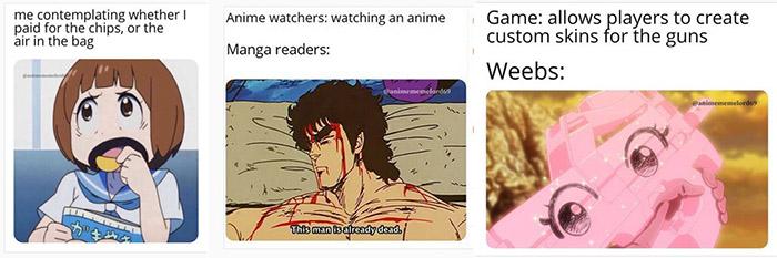 Memes About Anime