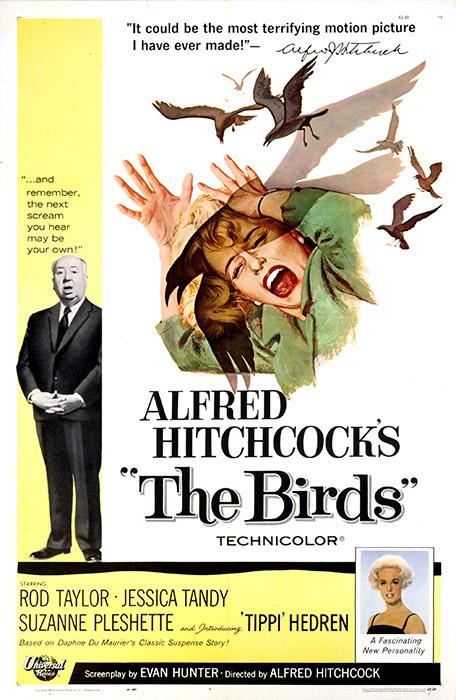 THE BIRDS, 1963.