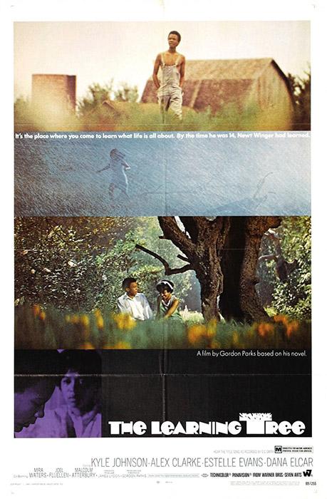 The Learning Tree (1969)