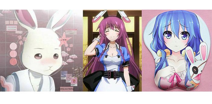 Bunny Suit Anime Characters