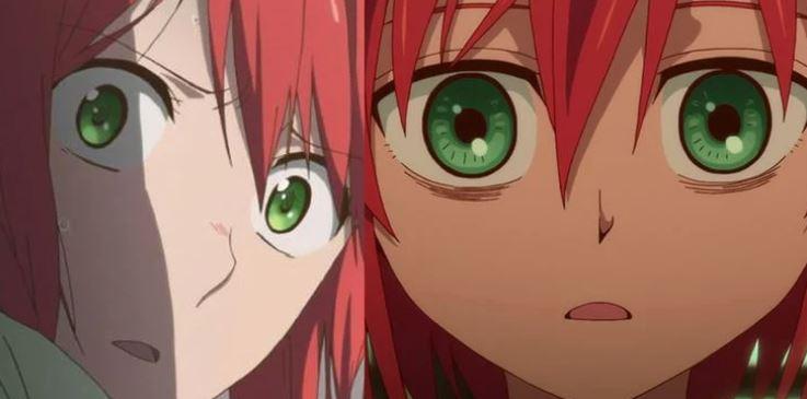 Shiroyuki (Snow White With The Red Hair) & Chise (The Magician's Bride)