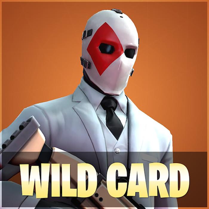 Garry’s Mod (Wild Card)