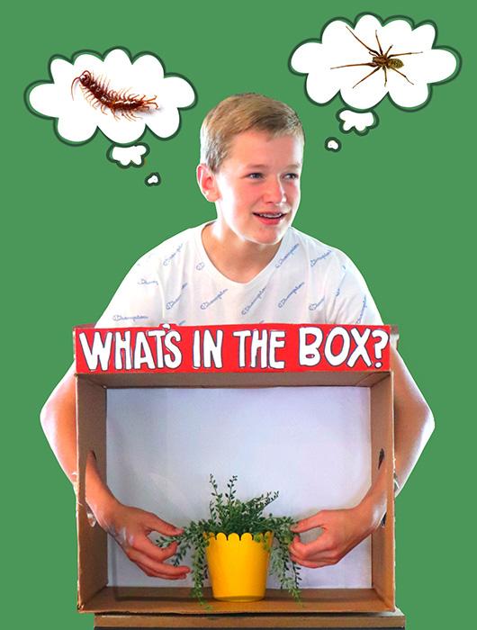 What’s In the Box