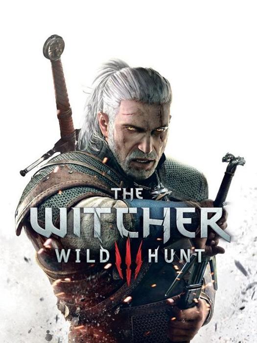The Witcher III The Wild Hunt